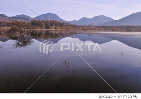 小田代湖が出現した小田代ヶ原 小田代湖が出現した小田代ヶ原 67775546