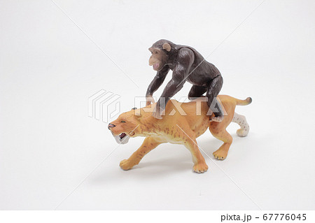 the Pastic wild animal toys isolated on white the Pastic wild animal toys isolated on white 67776045