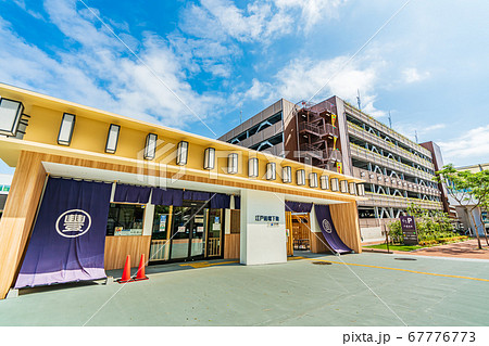 東京の都市風景 東京都中央卸売市場 豊洲市場 東京の都市風景 東京都中央卸売市場 豊洲市場 67776773