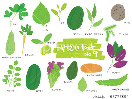 野菜のイラストセット 9のイラスト素材