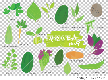 野菜のイラストセット　9 67777394