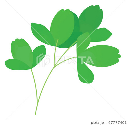 サクナのイラスト 67777401