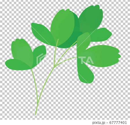 サクナのイラスト 67777401