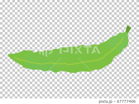 尿豆的插圖 67777406