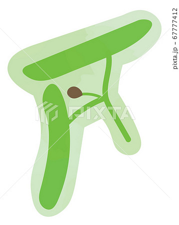 ジュンサイのイラスト 67777412