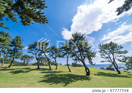 青森県八戸市 種差海岸の綺麗な風景 青森県八戸市 種差海岸の綺麗な風景 67777548