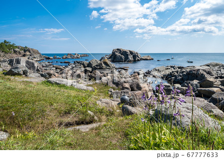 myg52　油彩画 青森県八戸市　種差海岸 s-20180819213745280661.jpg