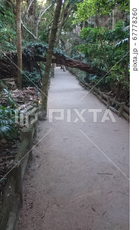 神秘的な通路 67778260