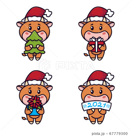 Year of the ox. Happy Cows set. Cute bulls holding a spruce tree, gift, poinsettia flower, sign. New year and merry christmas card. Vector illustration. Chinese zodiac symbol of the year 2021. 67779300
