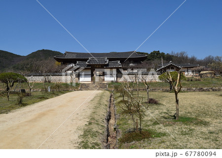 安東 屏山書院 ベロン木 67780094