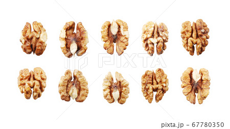 Walnuts Isolated On White Background Walnuts Isolated On White Background 67780350