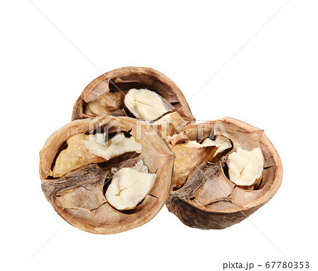 Walnuts Isolated On White Background 67780353