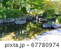 駅前の綺麗な池 67780974
