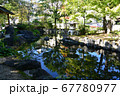 駅前の池 67780977