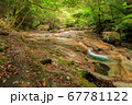 新緑の季節の藤河内渓谷　千枚平 67781122