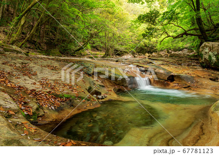 新緑の季節の藤河内渓谷　千枚平 67781123