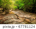 新緑の季節の藤河内渓谷　千枚平 67781124