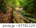 新緑の季節の藤河内渓谷遊歩道 67781129