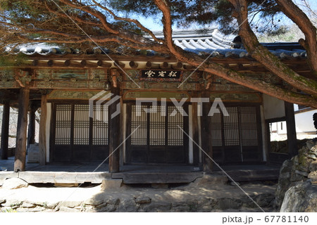 鳳停寺 安東 全角 67781140