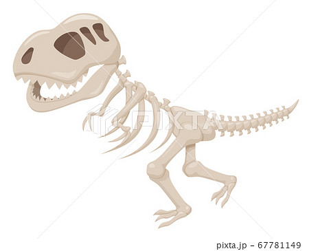 恐竜の化石のイラスト ティラノサウルス ティーレックスのイラスト素材