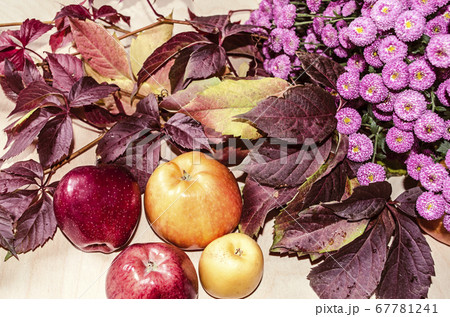 Apples with a bouquet of autumn wild grapes and small purple asters lying on light plywood   67781241