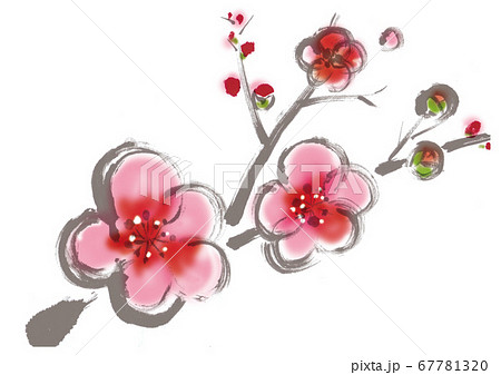 梅の花の飾り用イラスト 梅一枝の手描き和風イラストのイラスト素材