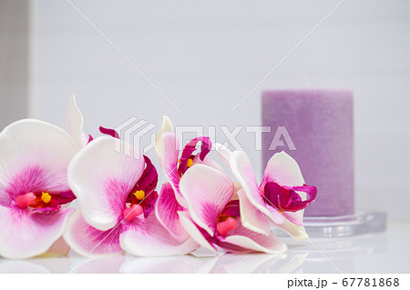 Shower supplies. Composition cosmetic products of spa treatment. Shower supplies. Composition cosmetic products of spa treatment. 67781868