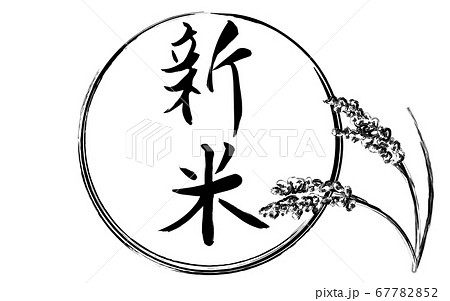 収穫を迎えた稲穂 お米のイラストのイラスト素材