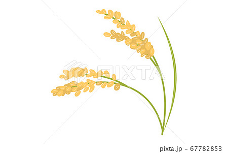 無料でダウンロード 稲 いらすとや 藤の花 イラスト