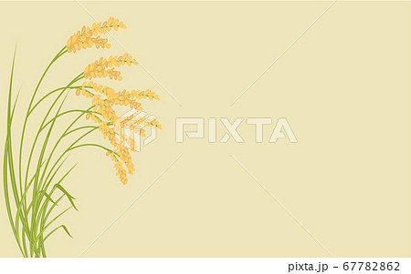 実って首を垂れる稲穂のイラスト、秋の収穫のイメージ 67782862