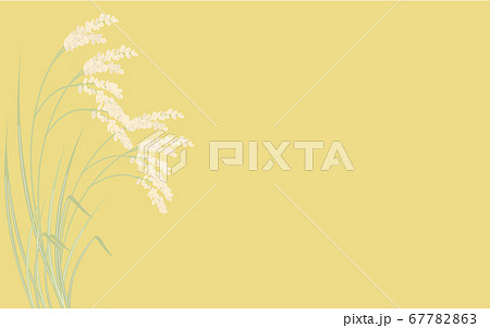 実って首を垂れる稲穂のイラスト、秋の収穫のイメージ 67782863