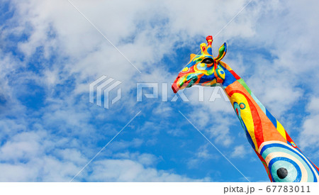 Head and neck of a stylized multi-colored giraffe Head and neck of a stylized multi-colored giraffe 67783011