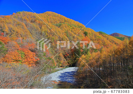 【山梨県】錦秋の西沢渓谷 67783083