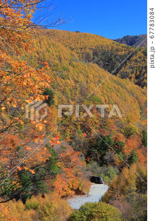 【山梨県】錦秋の西沢渓谷 67783084