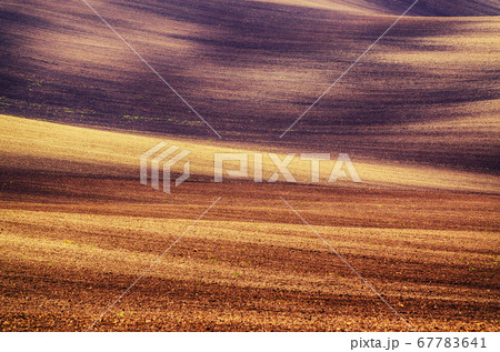 Earthy abstract background Earthy abstract background 67783641