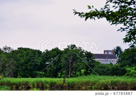 群馬　茂林寺沼の風景 67783887