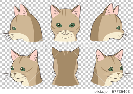 Face Up Cat Singapura Stock Illustration 67786408 Pixta