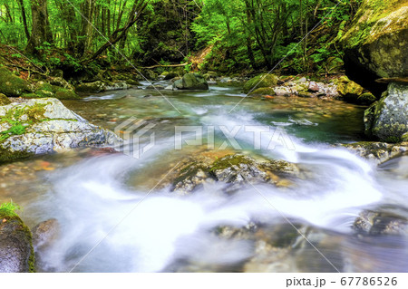 初夏の渓流の流れ 67786526