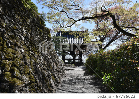 善峯寺 善峯寺 67786622