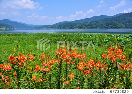 ヤンスリ 湖 八堂湖 67786829