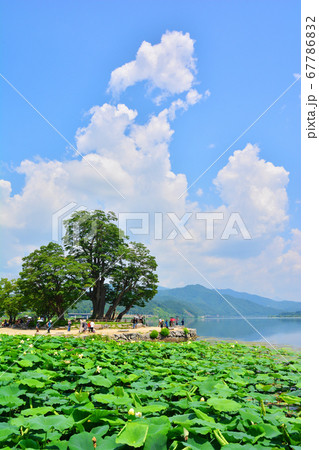 ヤンスリ 湖 八堂湖 67786832