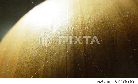 玉ねぎ【マクロ撮影】 67786868