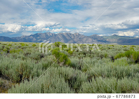 Long valley next the Lake Crowley, Mono County, California. USA. 67786873