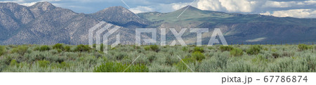 Long valley next the Lake Crowley, Mono County, California. USA. 67786874