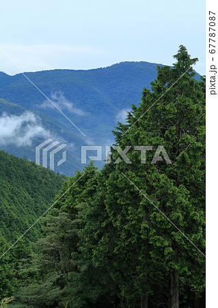 朝もや 風景 箱根 朝もや 風景 箱根 67787087