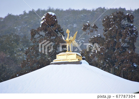 雪の金閣寺 雪の金閣寺 67787304