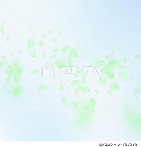 Green flower petals falling down. Fascinating roma Green flower petals falling down. Fascinating roma 67787538