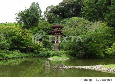 浄瑠璃寺の三重塔 浄瑠璃寺の三重塔 67788464