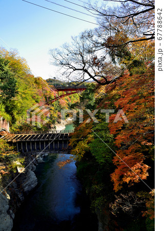 甲斐の猿橋　紅葉 67788642