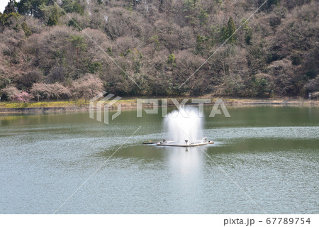 春の十王ダム　　＃38 67789754